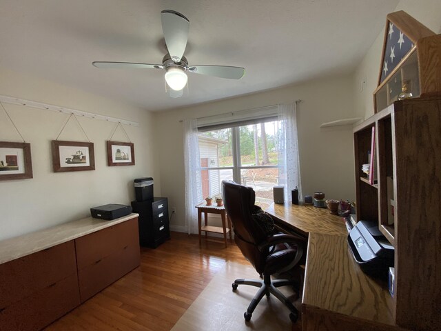 office featuring wood finished floors and a ceiling fan