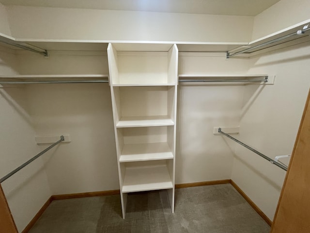 1712 Lisa Dr SW, Byron Center, MI 49315 - spacious closet with carpet