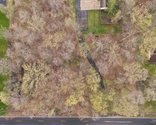 0 Ferry Rd, Grosse Ile, MI 48138