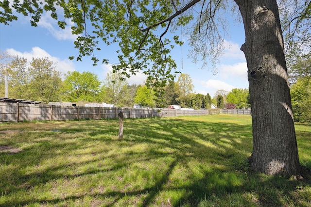 25034 Redfield St, Edwardsburg, MI 49112 - view of yard