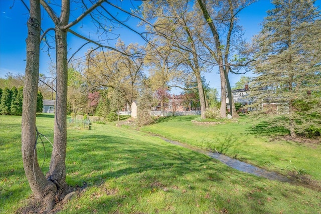 view of green lawn