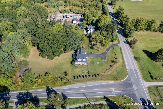 2445 Honey Creek Ave NE, Ada, MI 49301 - aerial view of property and surrounding area