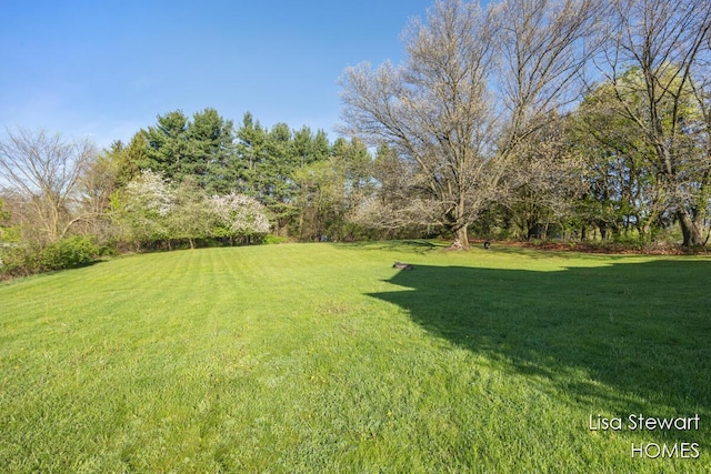 2445 Honey Creek Ave NE, Ada, MI 49301 - view of grassy yard