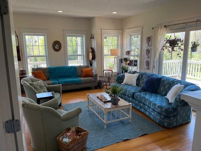 2445 Honey Creek Ave NE, Ada, MI 49301 - living room featuring wood finished floors and recessed lighting