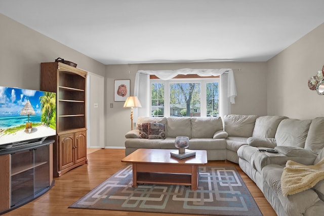living area with wood finished floors