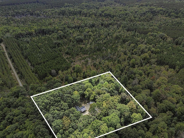 10780 S 29th Rd, Cadillac, MI 49601 - aerial overview of property's location featuring a heavily wooded area and property parcel outlined