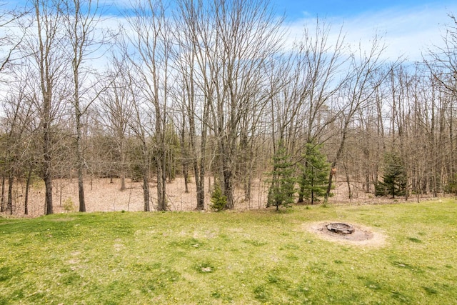 10093 Betsie Creek Dr, Interlochen, MI 49643