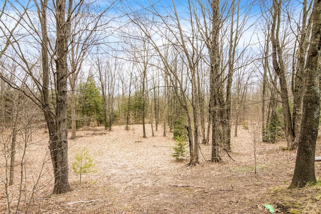 10093 Betsie Creek Dr, Interlochen, MI 49643