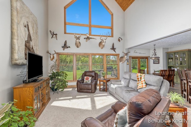 3389 Shultz Rd, Hastings, MI 49058 - living room with high vaulted ceiling and carpet