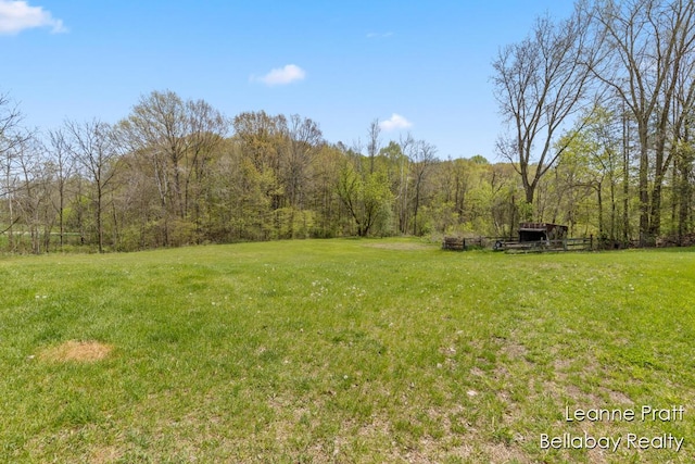 3389 Shultz Rd, Hastings, MI 49058 - view of grassy yard featuring a forest view and an outbuilding