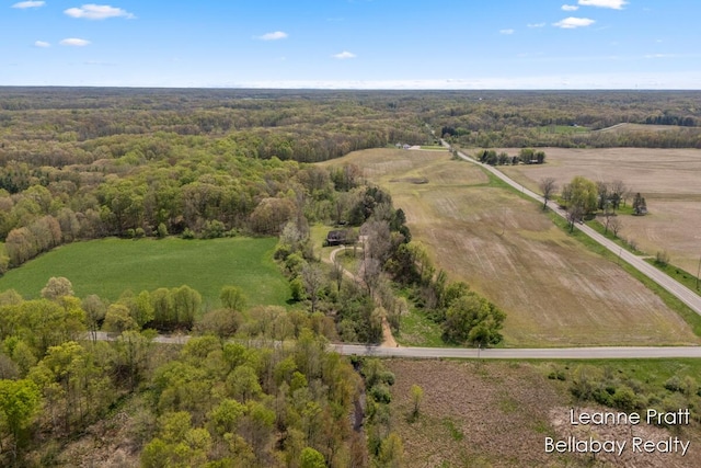 3389 Shultz Rd, Hastings, MI 49058 - aerial overview of property's location featuring a forest and rural landscape
