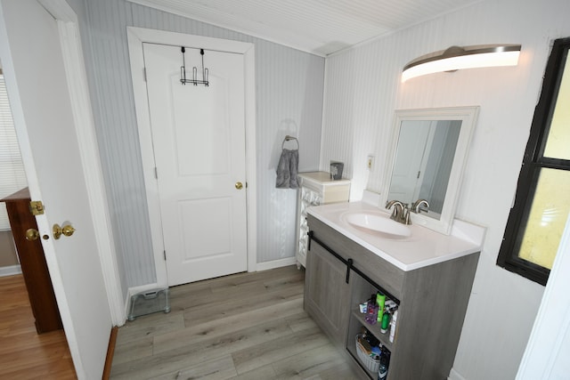 bathroom featuring wood finished floors and vanity