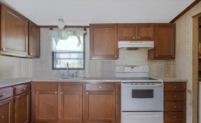 17931 30th Ave, Barryton, MI 49305 - kitchen with wallpapered walls, white range with electric cooktop, under cabinet range hood, a sink, and light countertops