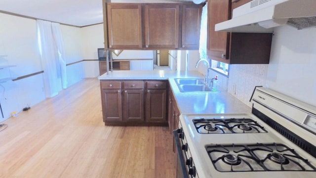 17931 30th Ave, Barryton, MI 49305 - kitchen featuring gas range gas stove, under cabinet range hood, a sink, light countertops, and decorative backsplash