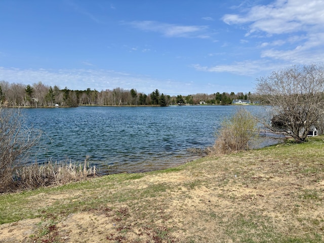 554 Ottawa Trl, Buckley, MI 49620 - water view