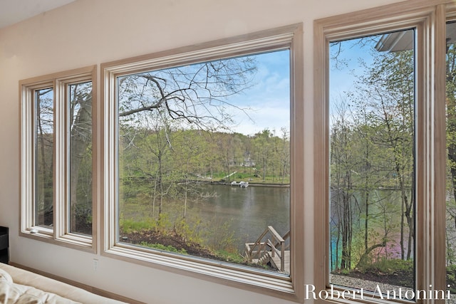 detailed view of a water view