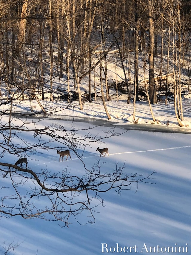 view of yard layered in snow