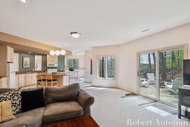 living room with healthy amount of natural light, carpet floors, and baseboards