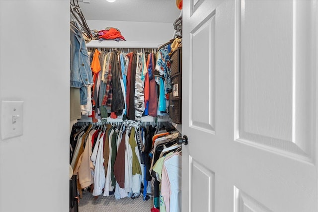 24231 Wilson Dr, Trenton, MI 48183 - spacious closet with carpet