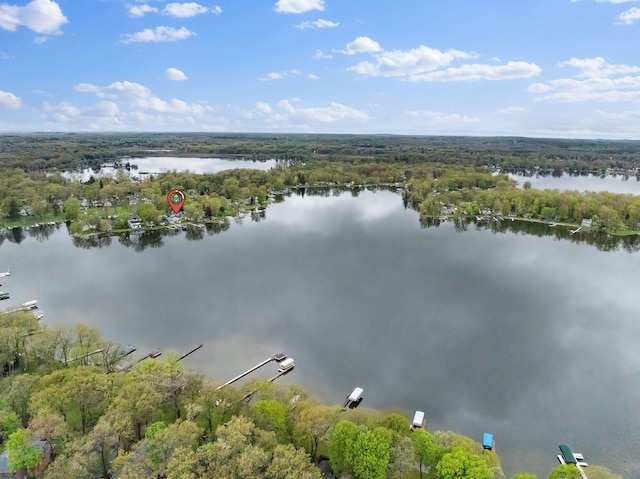 4825 Downing Dr, Pinckney, MI 48169 - bird's eye view of a nearby body of water