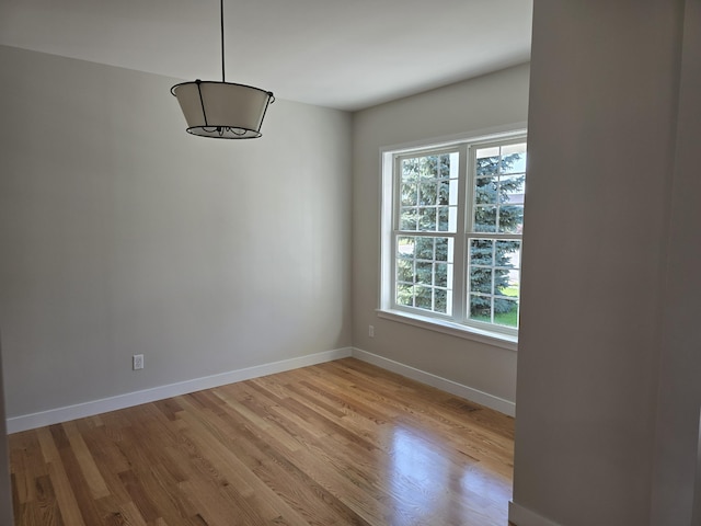 319 Sedgewood Ln, Ann Arbor, MI 48103 - unfurnished dining area with plenty of natural light, light wood-style floors, and baseboards