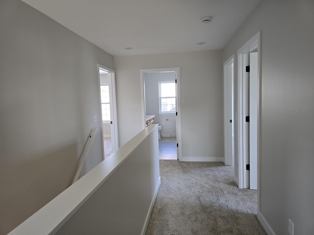 319 Sedgewood Ln, Ann Arbor, MI 48103 - corridor with carpet flooring, an upstairs landing, and baseboards