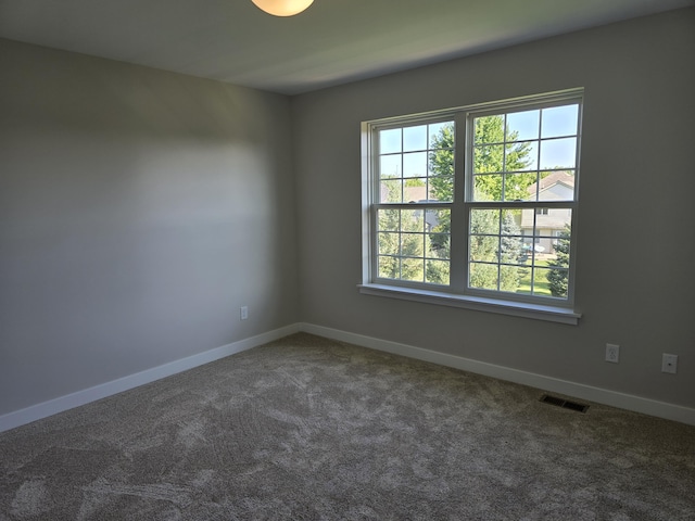 319 Sedgewood Ln, Ann Arbor, MI 48103 - carpeted empty room with baseboards