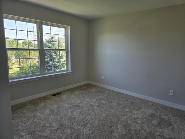 319 Sedgewood Ln, Ann Arbor, MI 48103 - carpeted spare room with plenty of natural light and baseboards