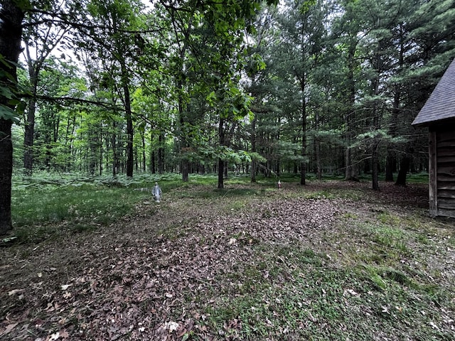 1698 W Carnahan Dr, Baldwin, MI 49304 - photo 4