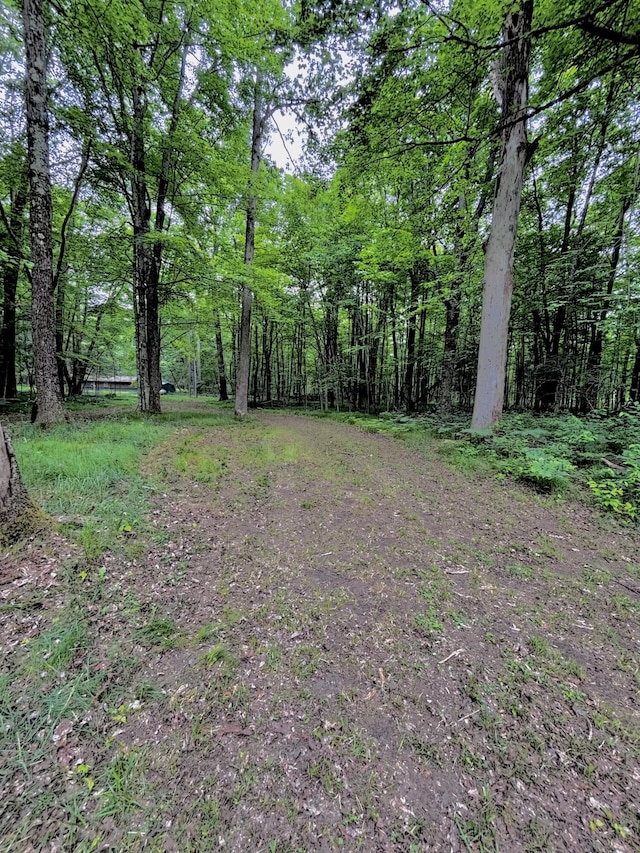 1698 W Carnahan Dr, Baldwin, MI 49304 - photo 5