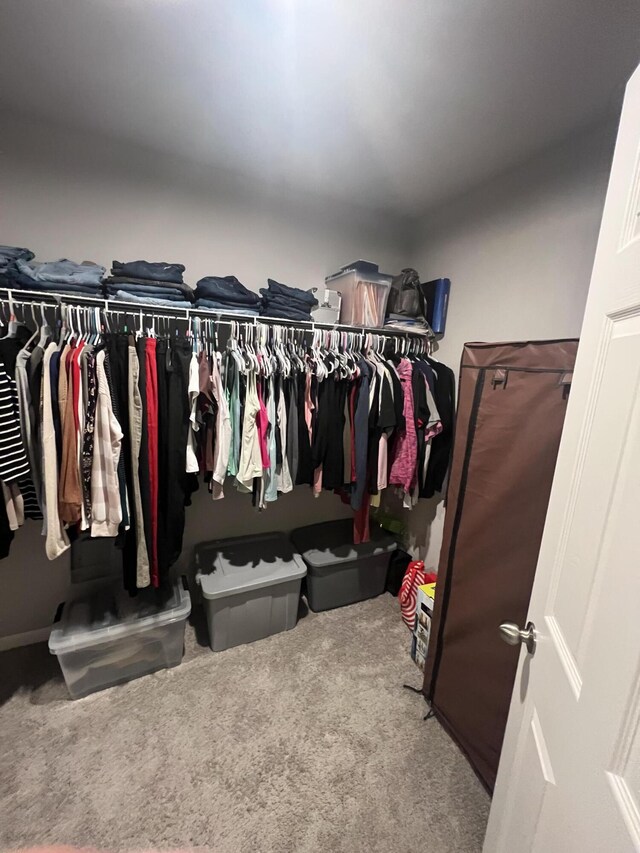 spacious closet featuring carpet flooring