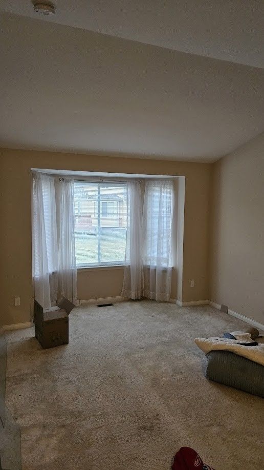 26123 Joanne Smith Ln, Chesterfield, MI 48051 - unfurnished living room featuring carpet flooring and baseboards