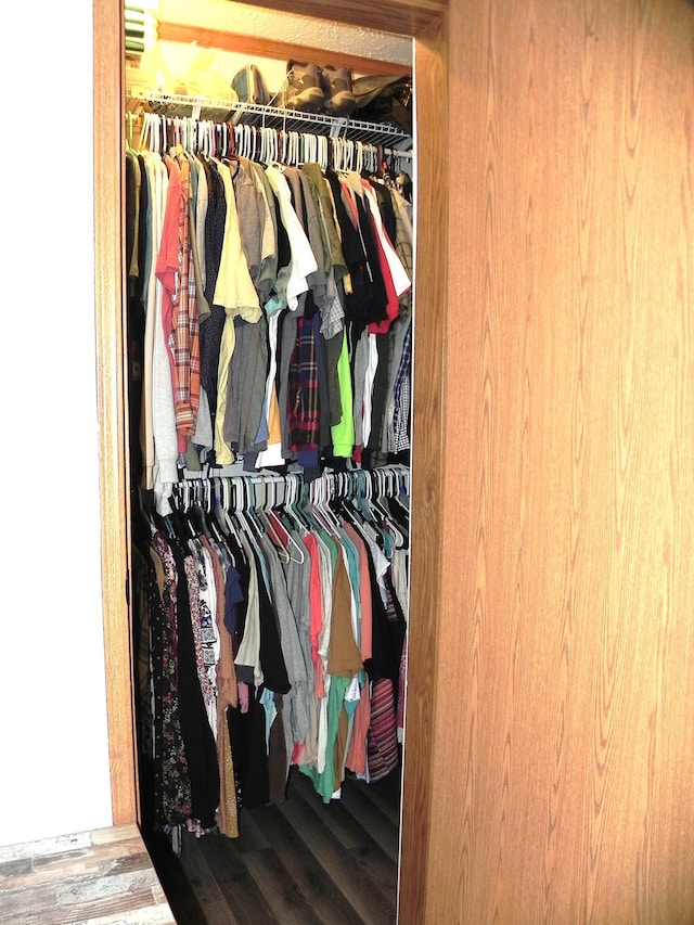 1232 Shiawassee River Rd, Three Rivers, MI 49093 - view of closet