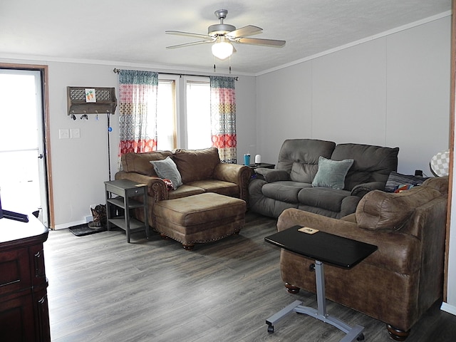 1232 Shiawassee River Rd, Three Rivers, MI 49093 - living area with ceiling fan, wood finished floors, crown molding, and baseboards
