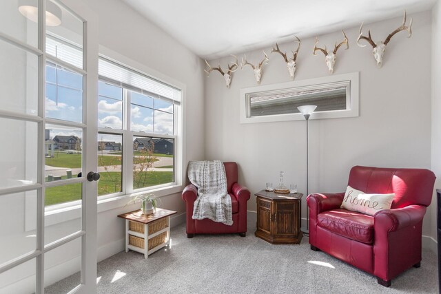 living area with carpet flooring