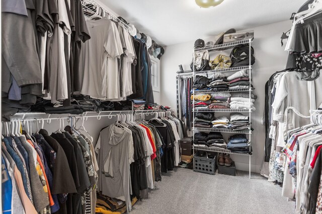 spacious closet with carpet floors