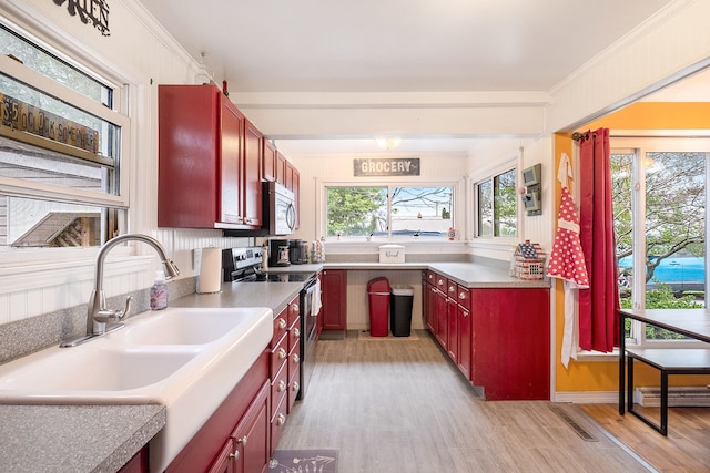 kitchen with stainless steel appliances, a sink, dark brown cabinets, and light wood-style floors