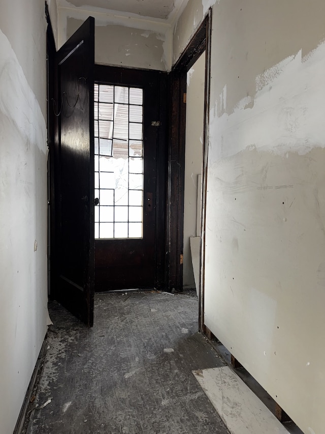 entryway with plenty of natural light