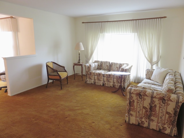 carpeted living room with healthy amount of natural light