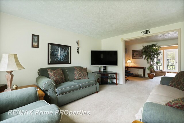 carpeted living area featuring a textured ceiling