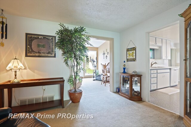 hall featuring carpet floors, a sink, and a textured ceiling