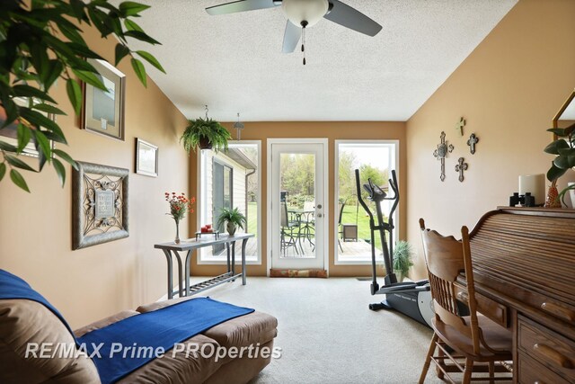 workout area featuring carpet flooring, a ceiling fan, and a textured ceiling