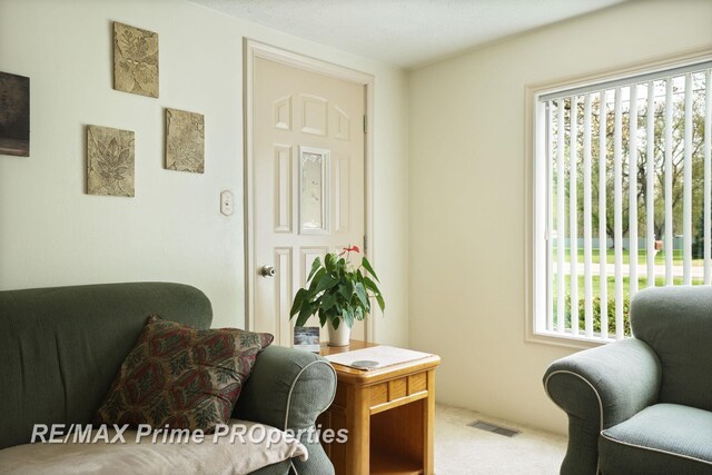 sitting room featuring healthy amount of natural light and carpet flooring