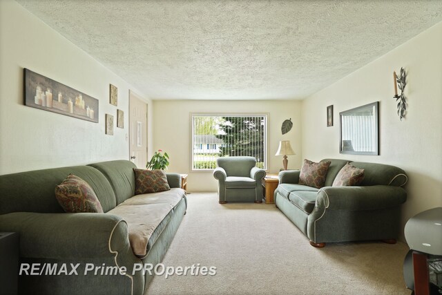 living area with carpet floors and a textured ceiling