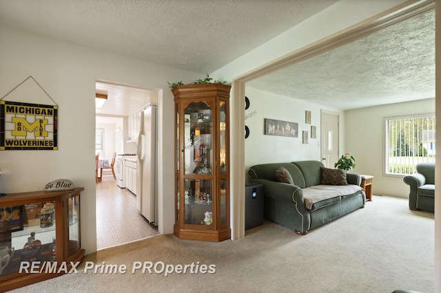 carpeted living room with a textured ceiling