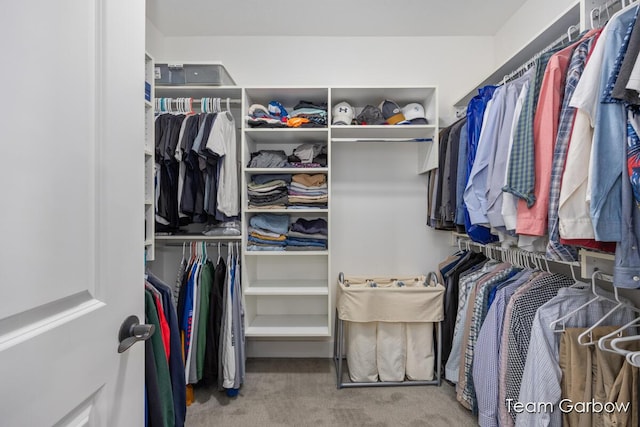 2044 Canopy Dr SW, Byron Center, MI 49315 - walk in closet featuring carpet