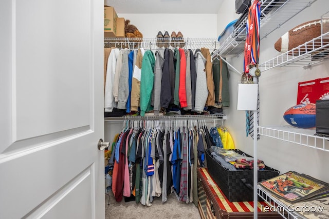 2044 Canopy Dr SW, Byron Center, MI 49315 - spacious closet with carpet flooring