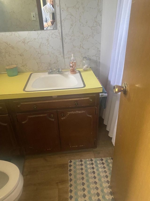12765 NE Gregware Dr NE, Sand Lake, MI 49343 - bathroom with vanity, wallpapered walls, wood finished floors, and toilet