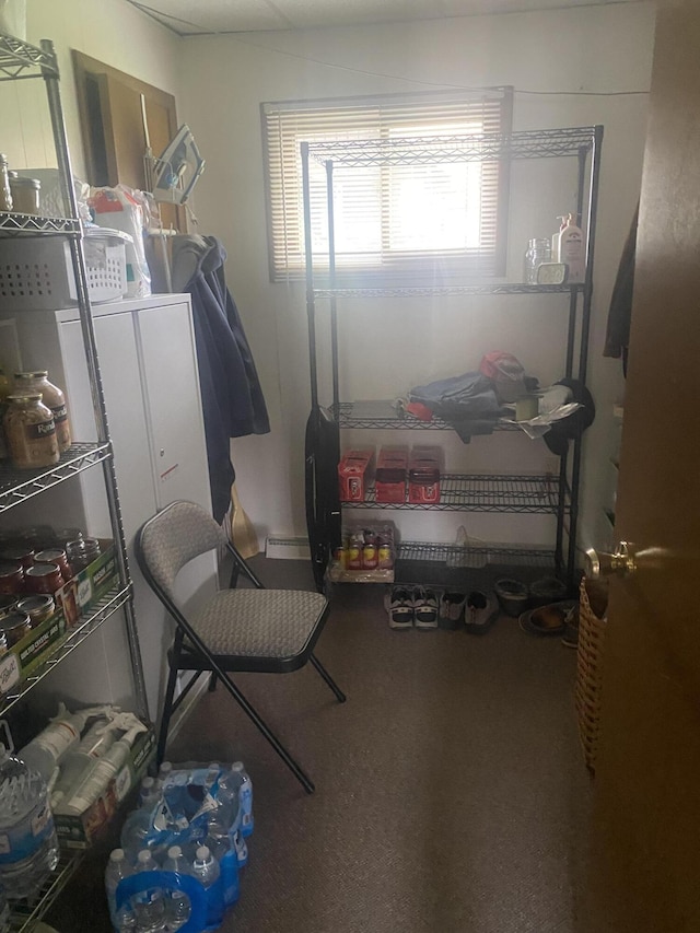12765 NE Gregware Dr NE, Sand Lake, MI 49343 - view of storage area