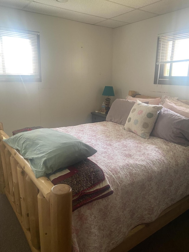 12765 NE Gregware Dr NE, Sand Lake, MI 49343 - bedroom featuring multiple windows